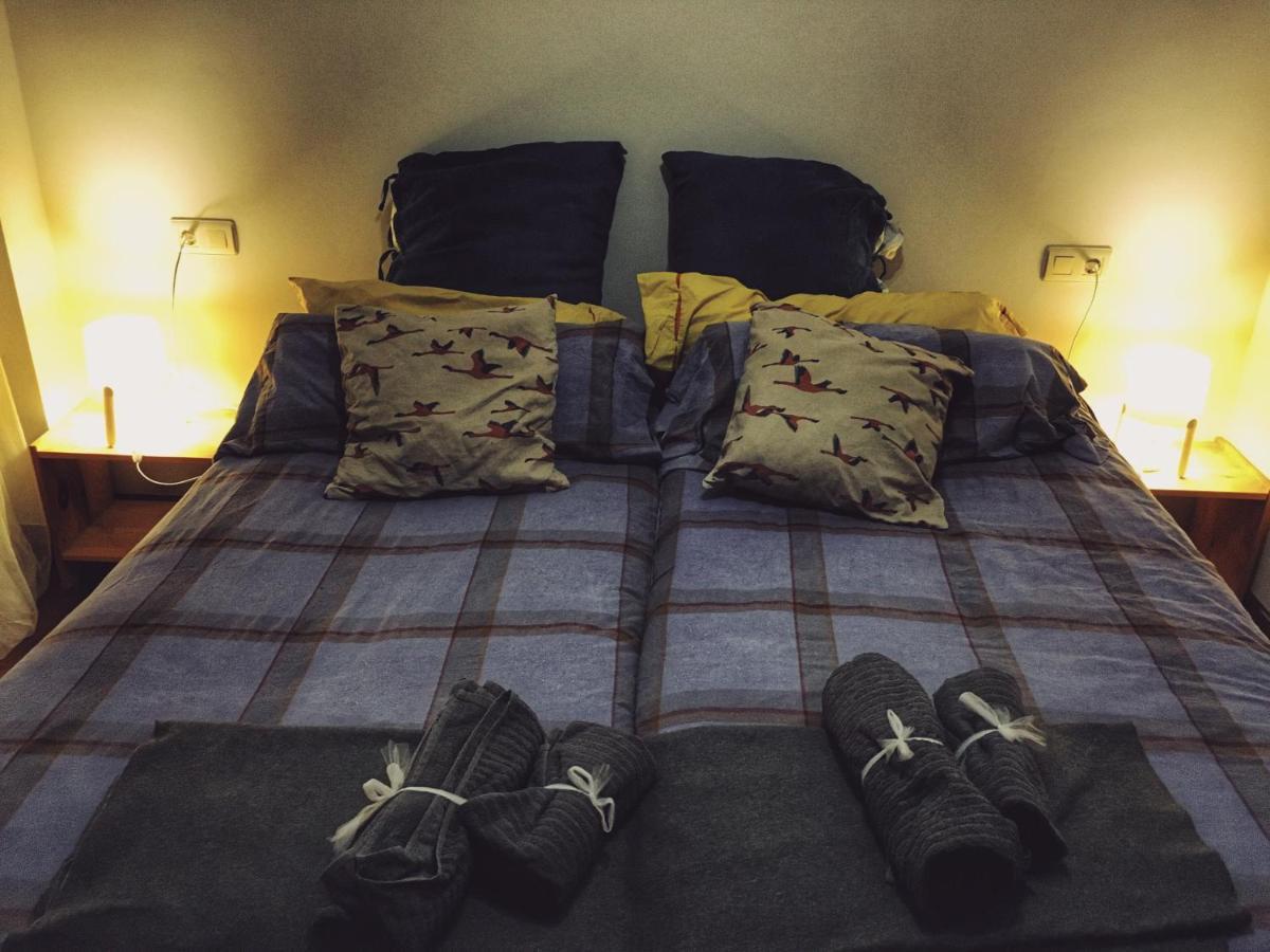 Nuevo Apartamento Centrico Cerca De San Sebastian Azpeitia Exteriör bild